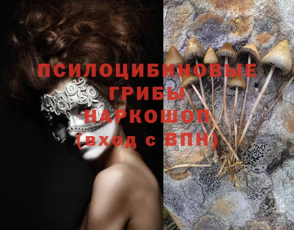 сатива Михайловск