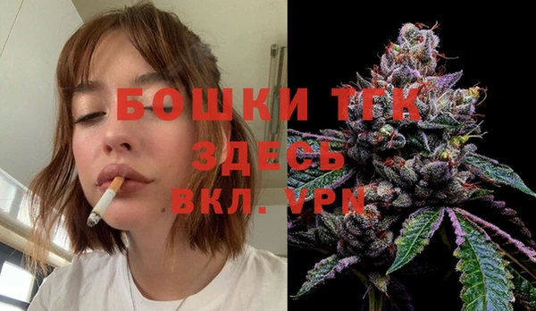 сатива Михайловск
