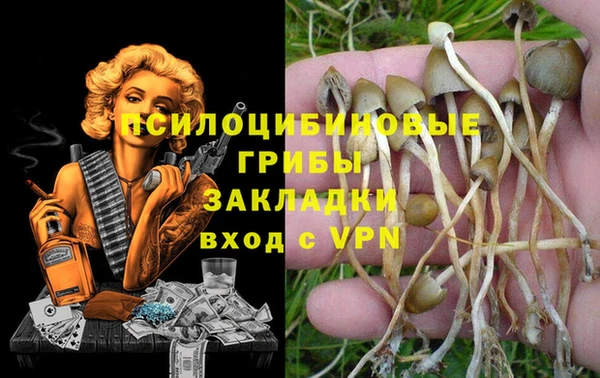 ALPHA PVP Михайловка