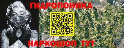 гидра Шебекино