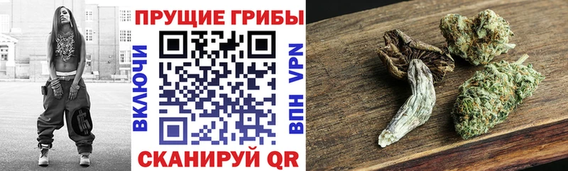 Псилоцибиновые грибы Cubensis  кракен зеркало  Удомля 