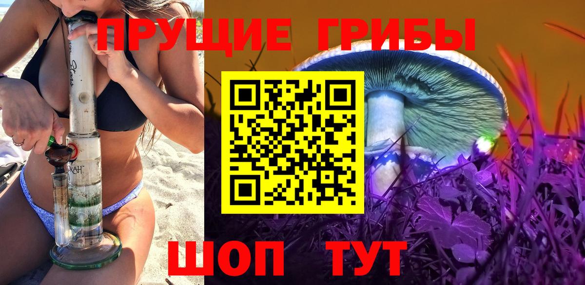 Псилоцибиновые грибы ЛСД  Вход с VPN  Псилоцибиновые грибы Psilocybe  Удомля 